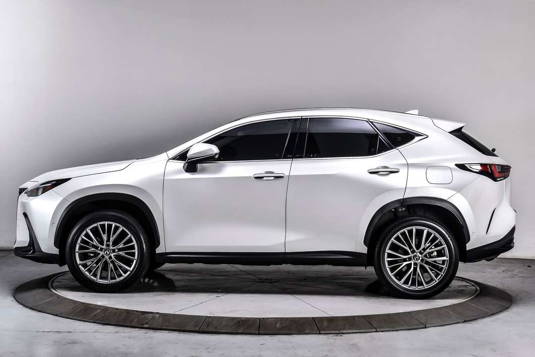 2024 Lexus NX 350h Luxury - Image 3